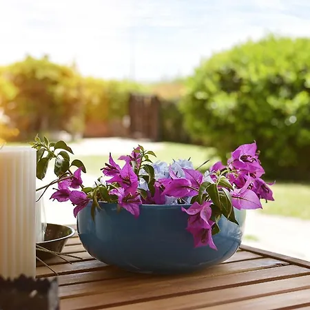 Karamare 4* Stintino