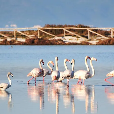Karamare Πανσιόν