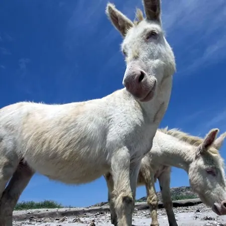 Πανσιόν Karamare 4*